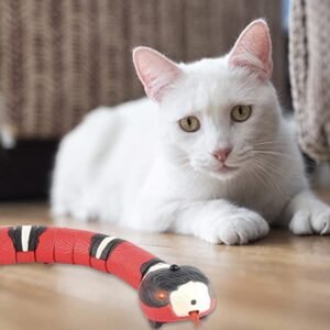 The Only Toy Your Indoor Cats Won't Get Bored Of Quickly!